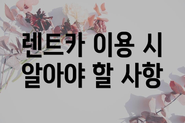 렌트카 이용 시 알아야 할 사항