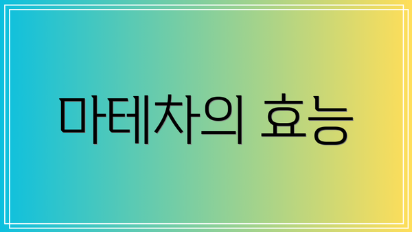 마테차의 효능