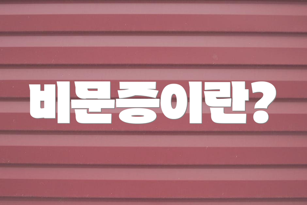 비문증이란?
