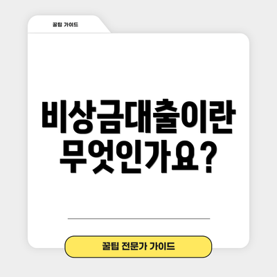 비상금대출이란 무엇인가요?
