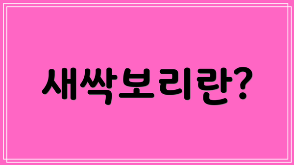 새싹보리란?