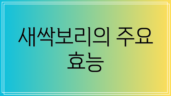 새싹보리의 주요 효능