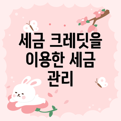 세금 크레딧을 이용한 세금 관리