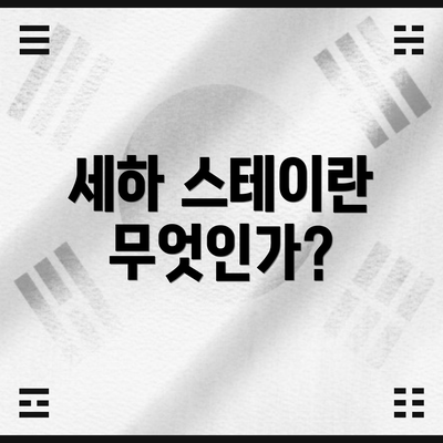 세하 스테이란 무엇인가?