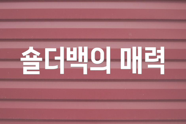 숄더백의 매력