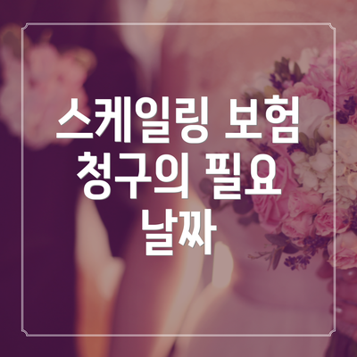 스케일링 보험 청구의 필요 날짜