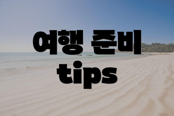 여행 준비 tips