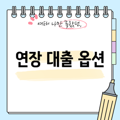 연장 대출 옵션