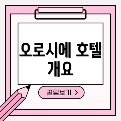 오로시에 호텔 개요