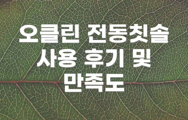 오클린 전동칫솔 사용 후기 및 만족도