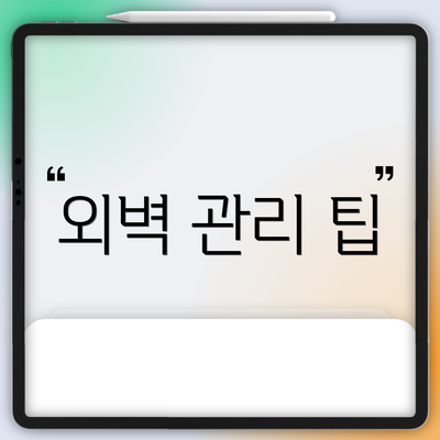 외벽 관리 팁