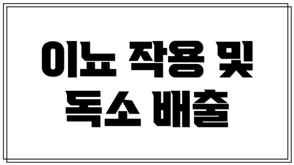 이뇨 작용 및 독소 배출