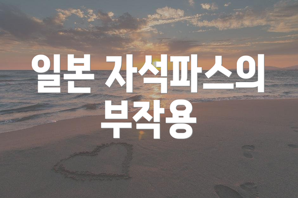 일본 자석파스의 부작용