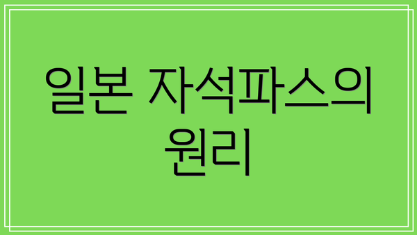 일본 자석파스의 원리