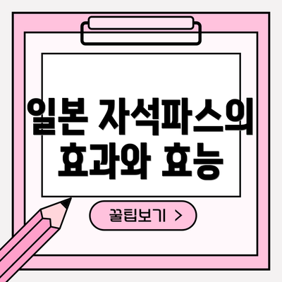 일본 자석파스의 효과와 효능