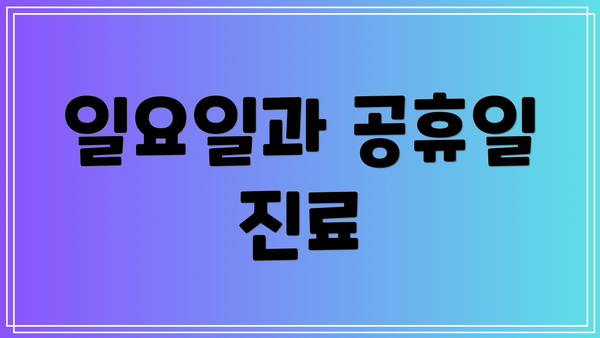 일요일과 공휴일 진료