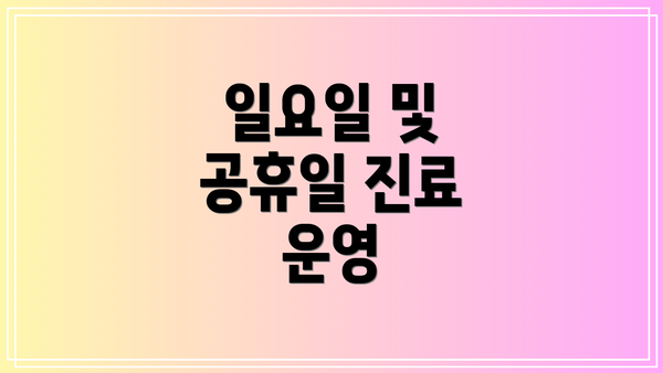 일요일 및 공휴일 진료 운영