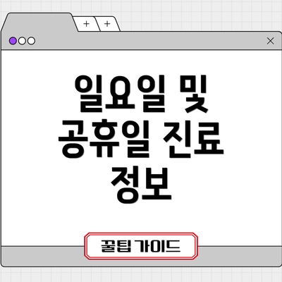 일요일 및 공휴일 진료 정보