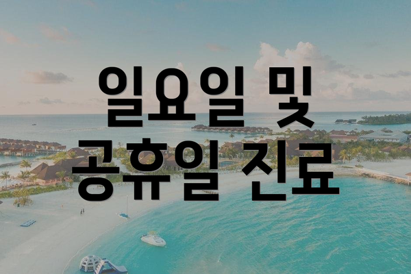 일요일 및 공휴일 진료