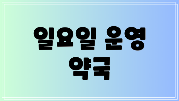 일요일 운영 약국