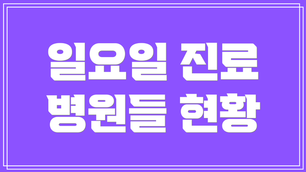 일요일 진료 병원들 현황