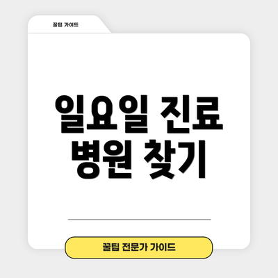 일요일 진료 병원 찾기