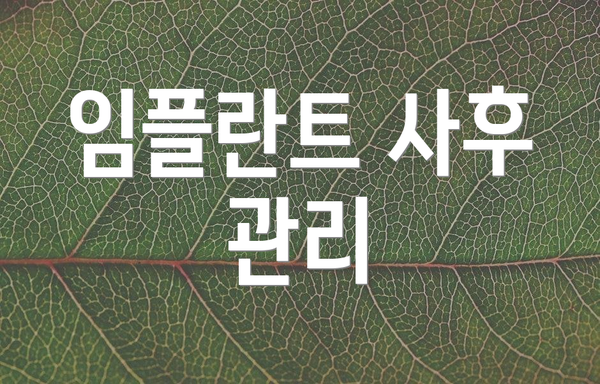 임플란트 사후 관리