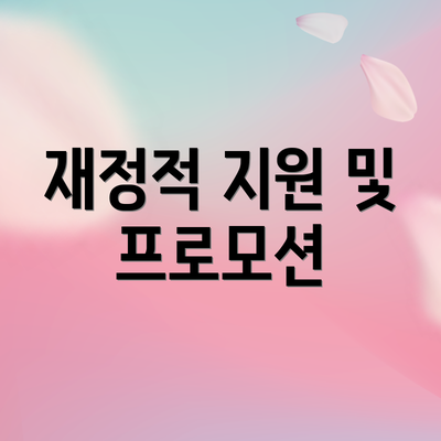 재정적 지원 및 프로모션
