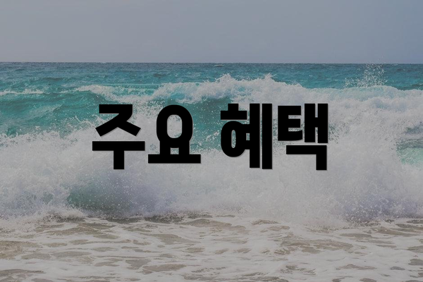 주요 혜택