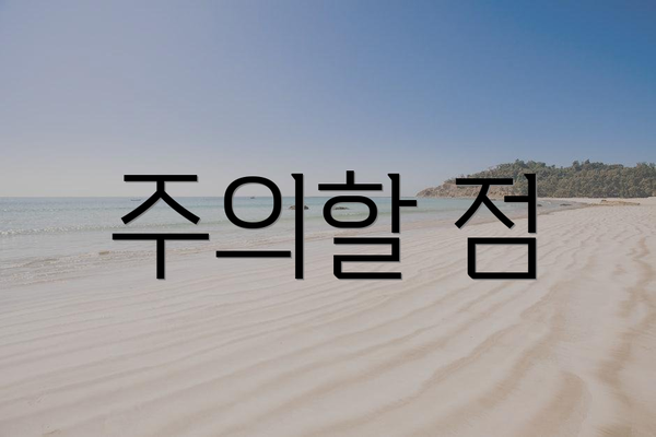 주의할 점