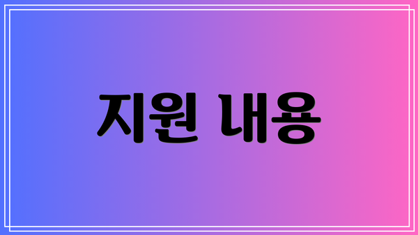 지원 내용