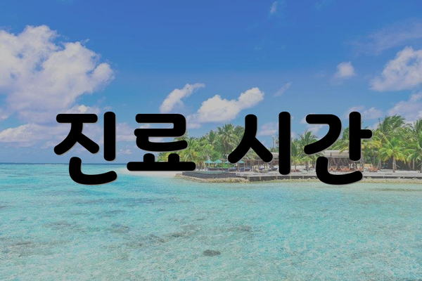 진료 시간