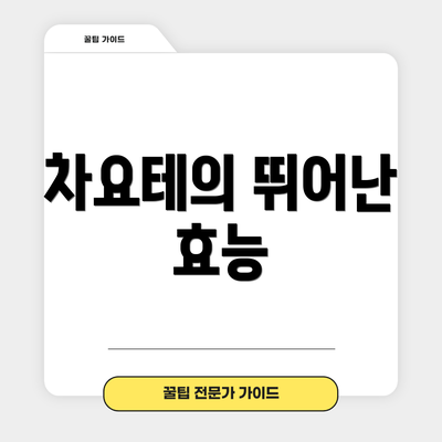 차요테의 뛰어난 효능