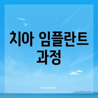 치아 임플란트 과정