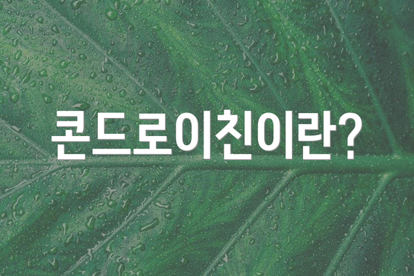 콘드로이친이란?