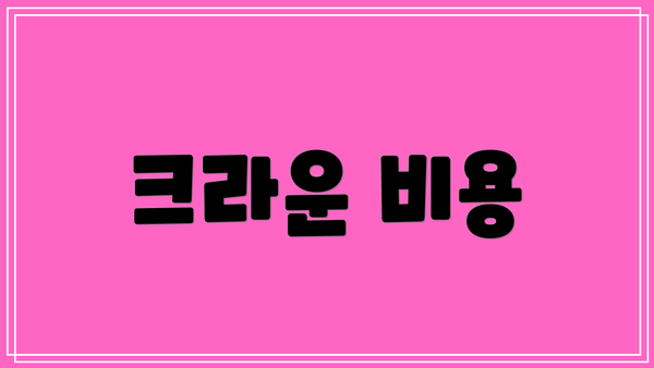 크라운 비용