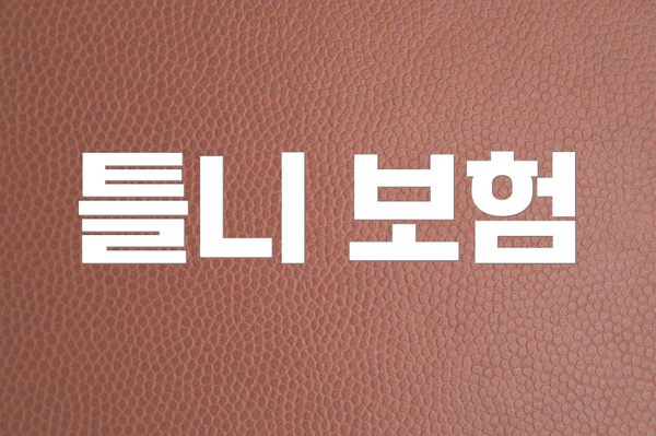 틀니 보험