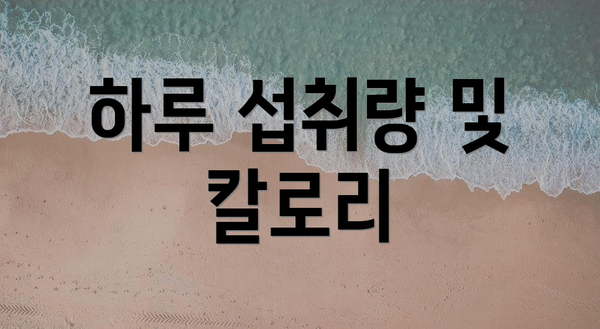 하루 섭취량 및 칼로리
