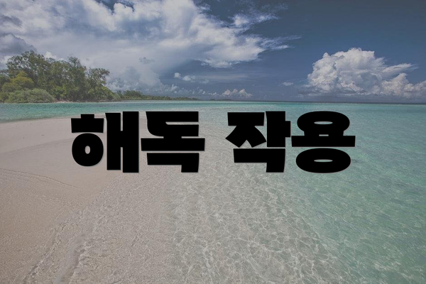 해독 작용
