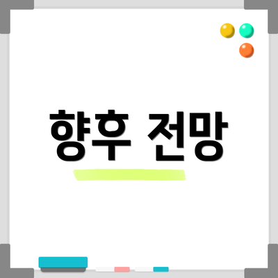 향후 전망