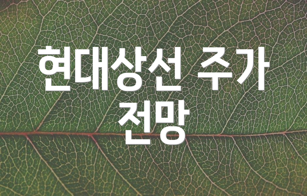 현대상선 주가 전망
