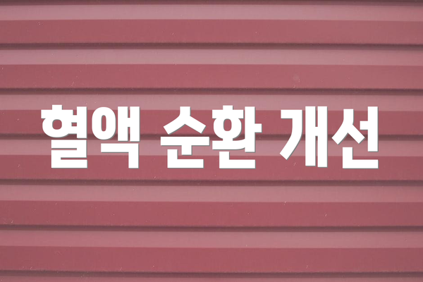 혈액 순환 개선