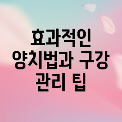 효과적인 양치법과 구강 관리 팁