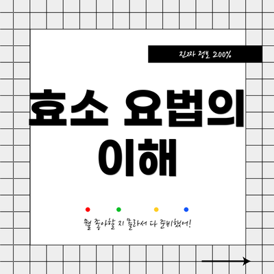 효소 요법의 이해