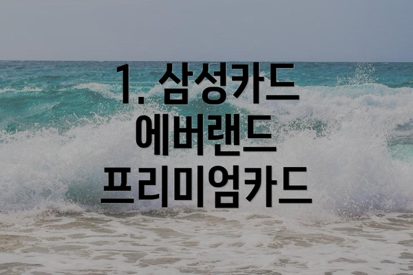 1. 삼성카드 에버랜드 프리미엄카드