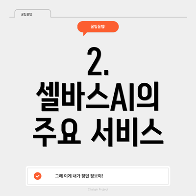 2. 셀바스AI의 주요 서비스