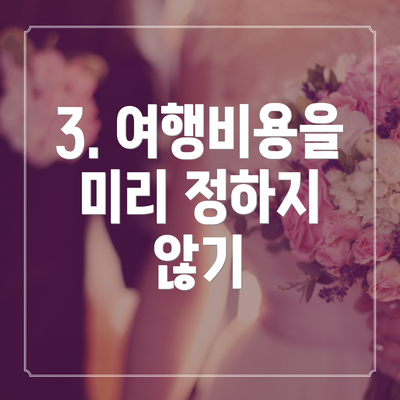 3. 여행비용을 미리 정하지 않기