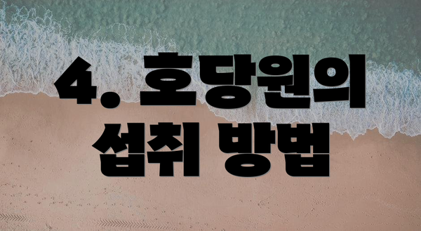 4. 호당원의 섭취 방법