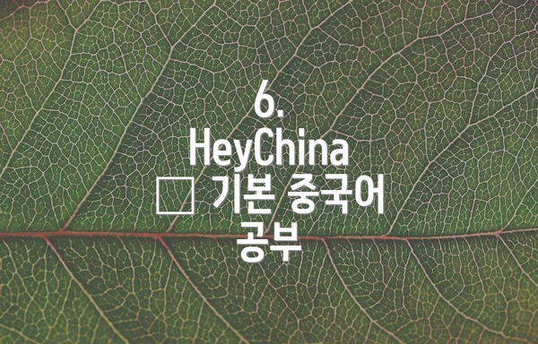 6. HeyChina – 기본 중국어 공부
