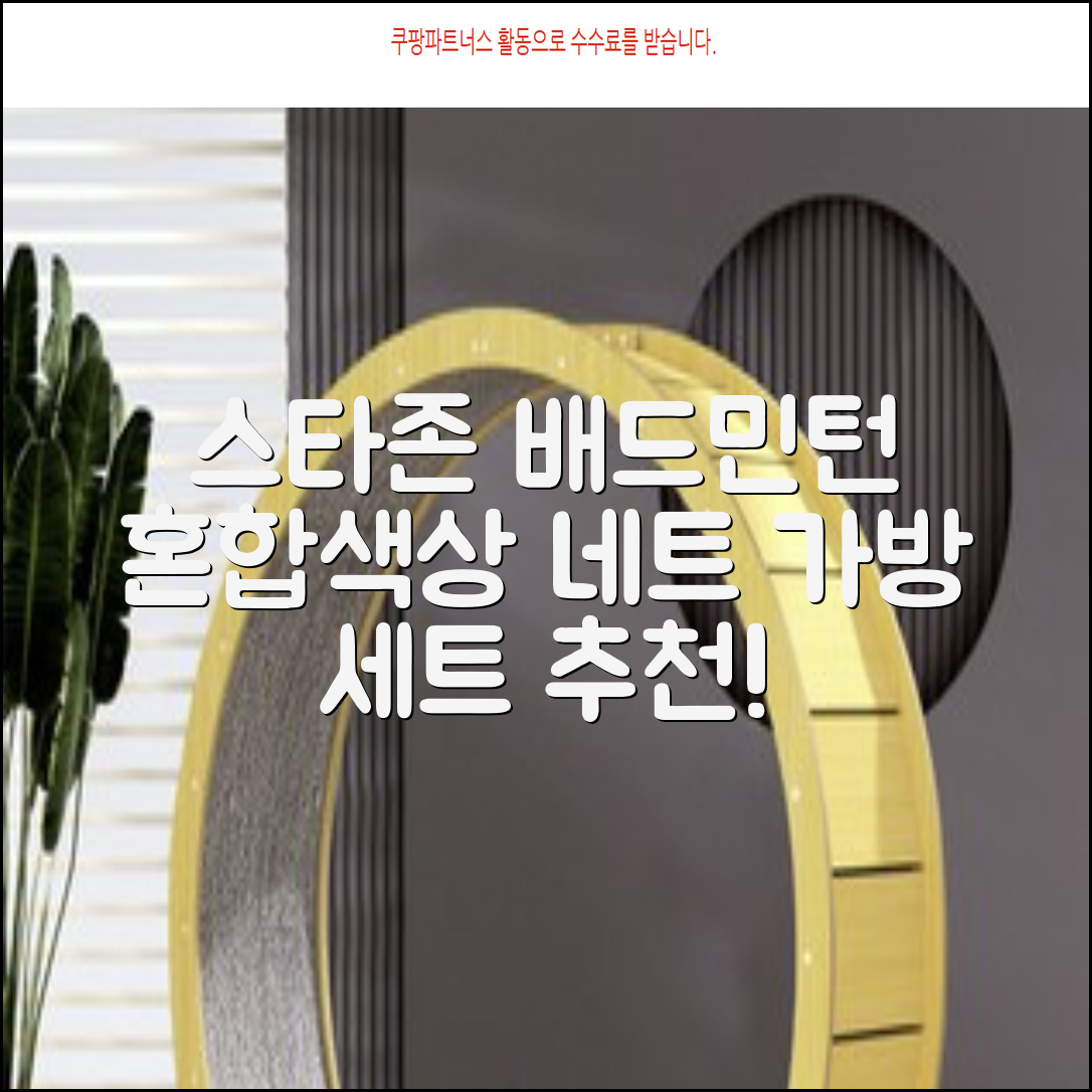 스타존 배드민턴 그물 네트 + 가방, 혼합색상, 1세트 추천 리뷰